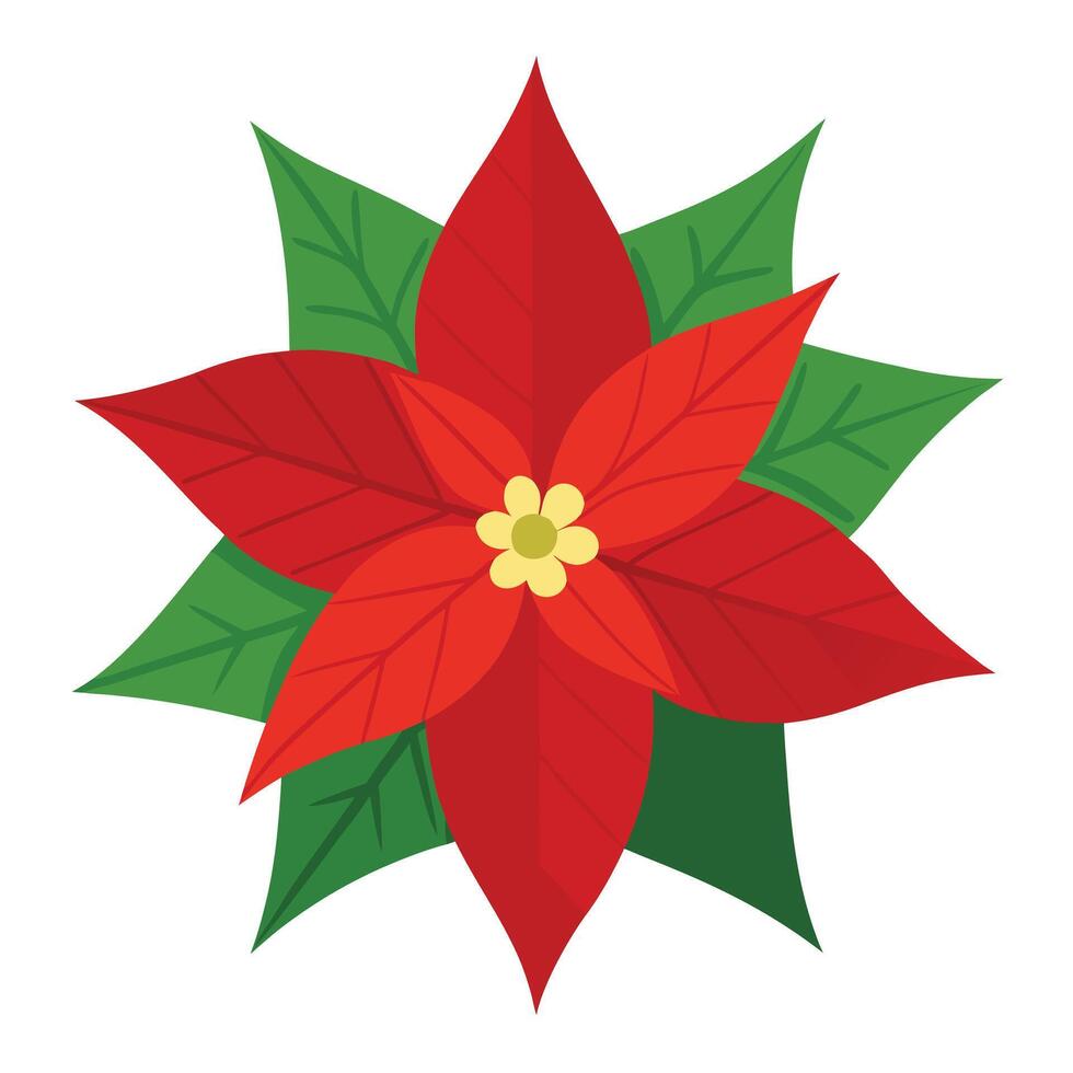 Poinsettia Flower Flat with Green Leaves, Red Petals, Transparent Background vector