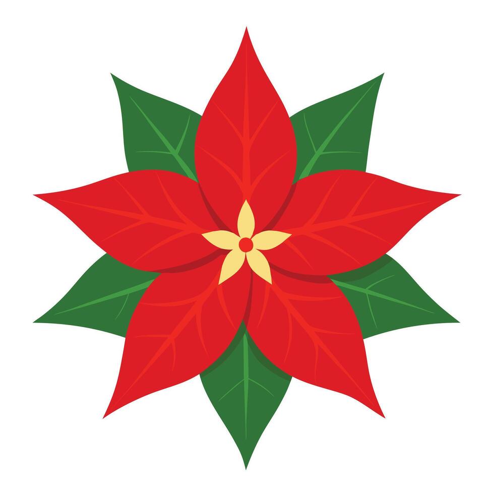 Cartoon Red Poinsettia with Green Leaves and Golden Center on White Background vector