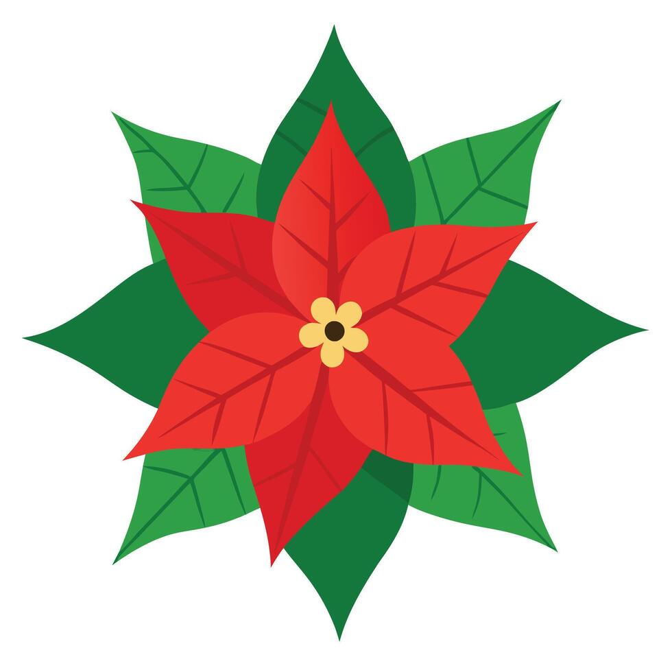 Festive Flat Poinsettia Flower with Red Petals and Green Leaves on White Background vector
