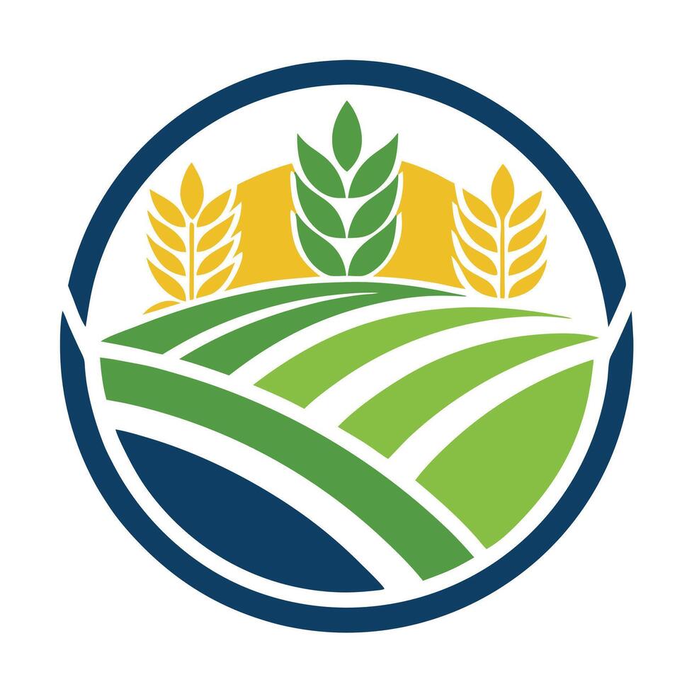 Agricultural Field with Wheat and Green Crops on White vector