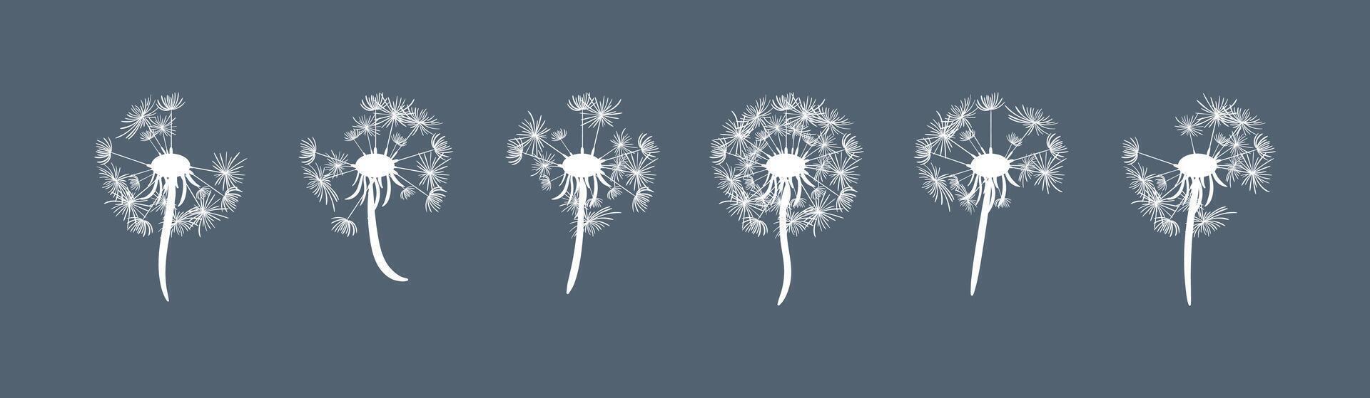 A stunning illustration showcasing a collection of fluffy dandelion silhouettes with seeds against a dark background, creating a beautiful and enchanting visual display of natures elegance. vector