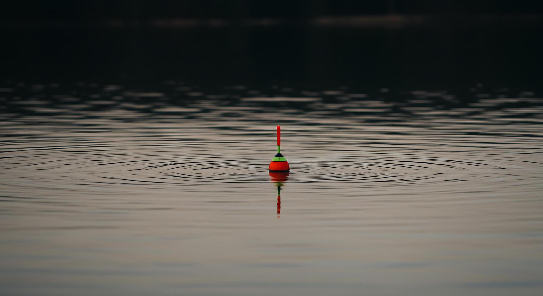 Solitary Fishing Bobber on Serene Water photo