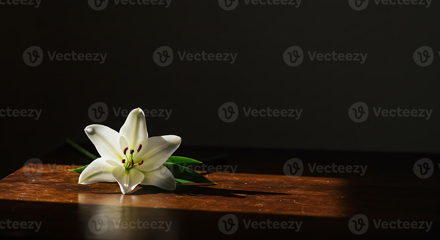 Solitary White Lily on Wooden Surface photo