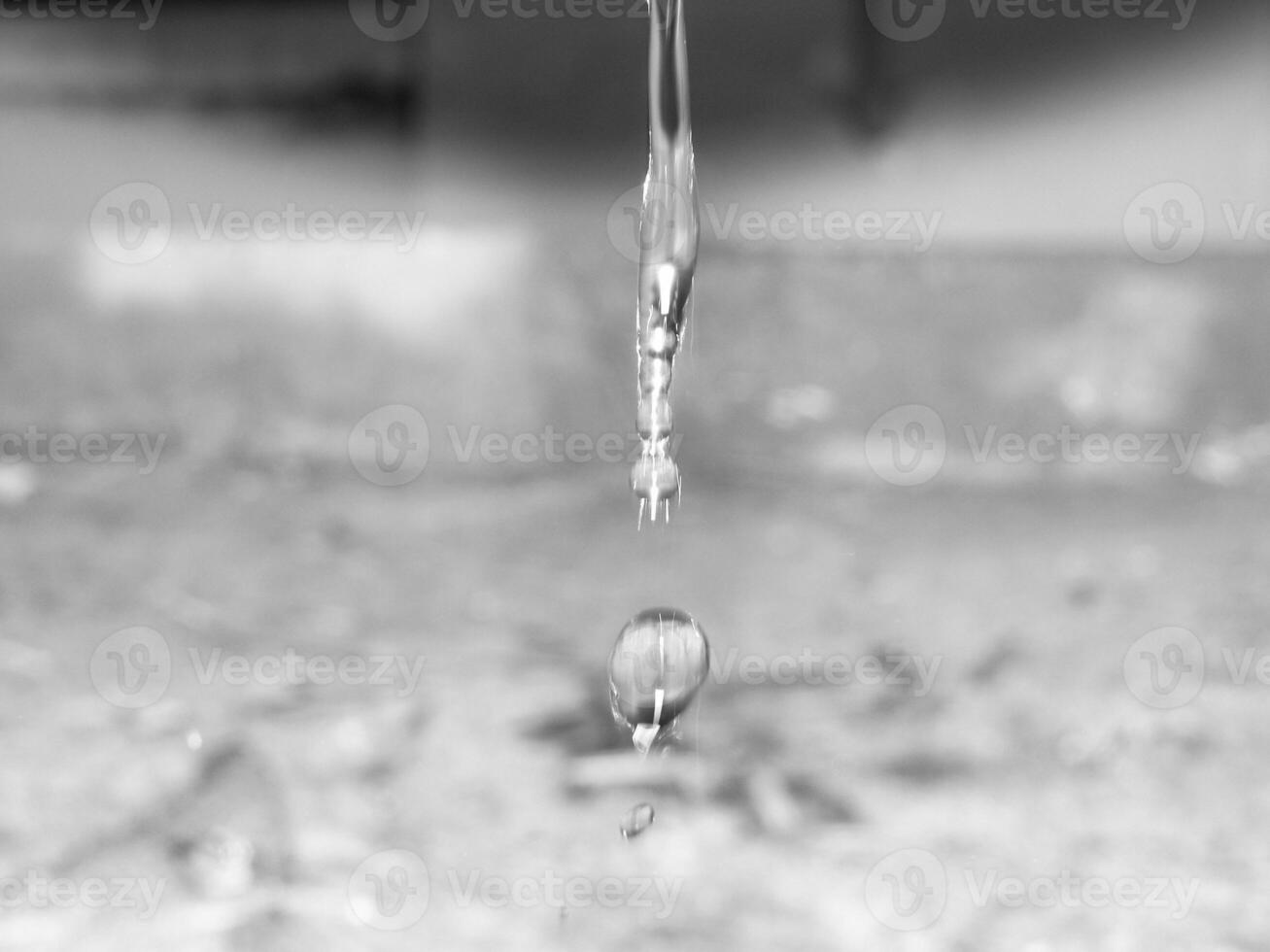 Green Spring Plants Close View Natural Background Version 138 photo