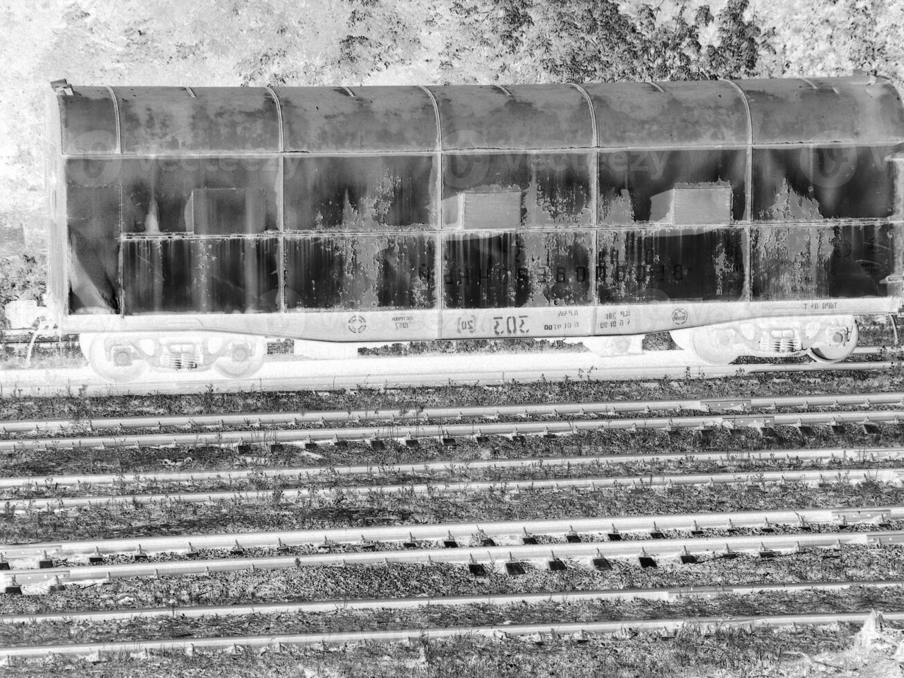 Train on Railway Track with Rolling Stock and Surrounding Plant Life creative background photo