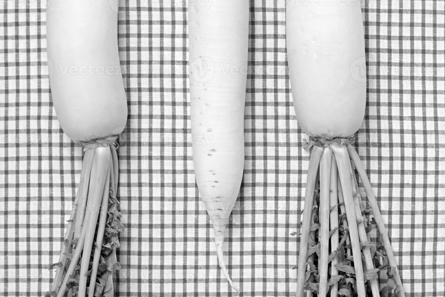 Daikon close view background wallpaper photo