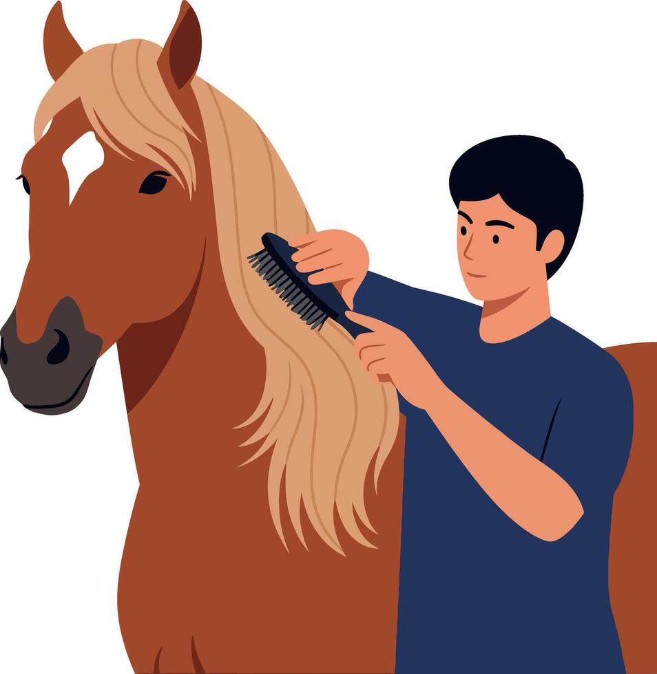 A young man grooming a horse with a brush in flat illustration style vector