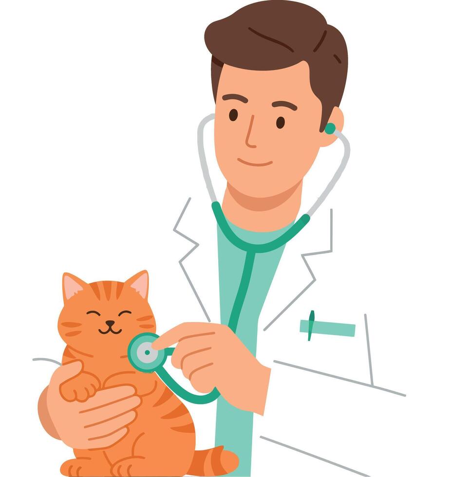Veterinarian examining a cheerful orange cat with a stethoscope in a flat illustration vector