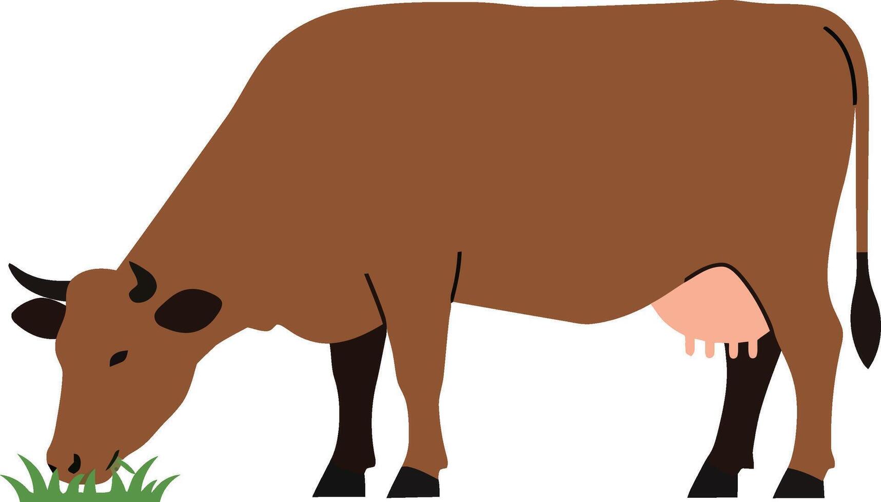 Brown cow grazing on green grass in a flat style illustration vector