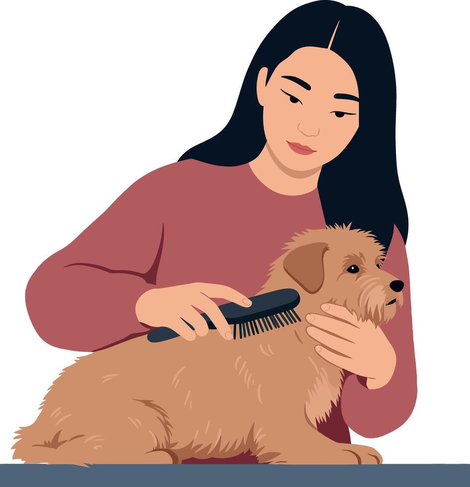 Woman grooming a small dog with a brush in a flat, minimal illustration vector