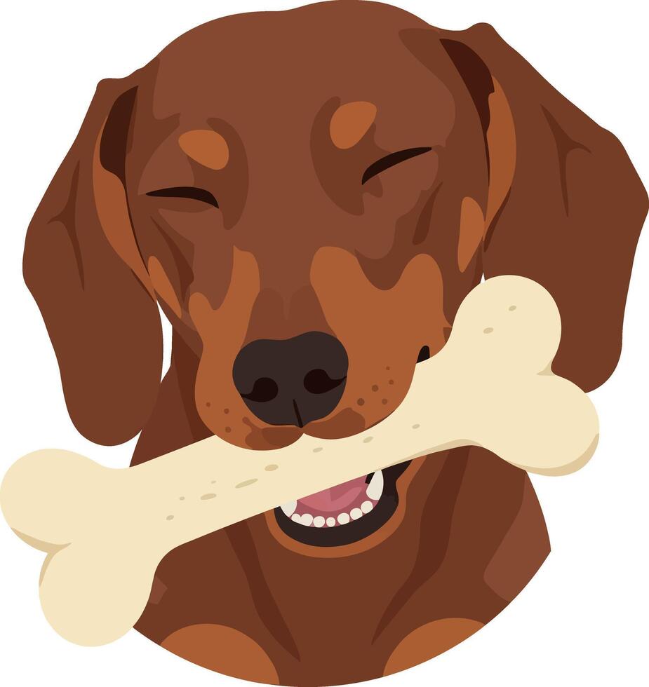 Happy brown dog with a bone in mouth, flat illustration vector