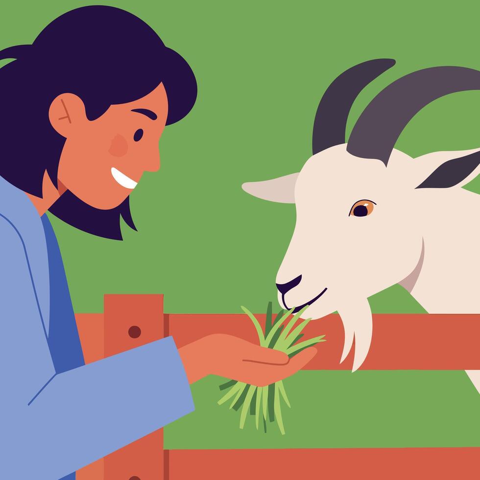 A smiling woman feeding a friendly white goat in a flat illustration vector