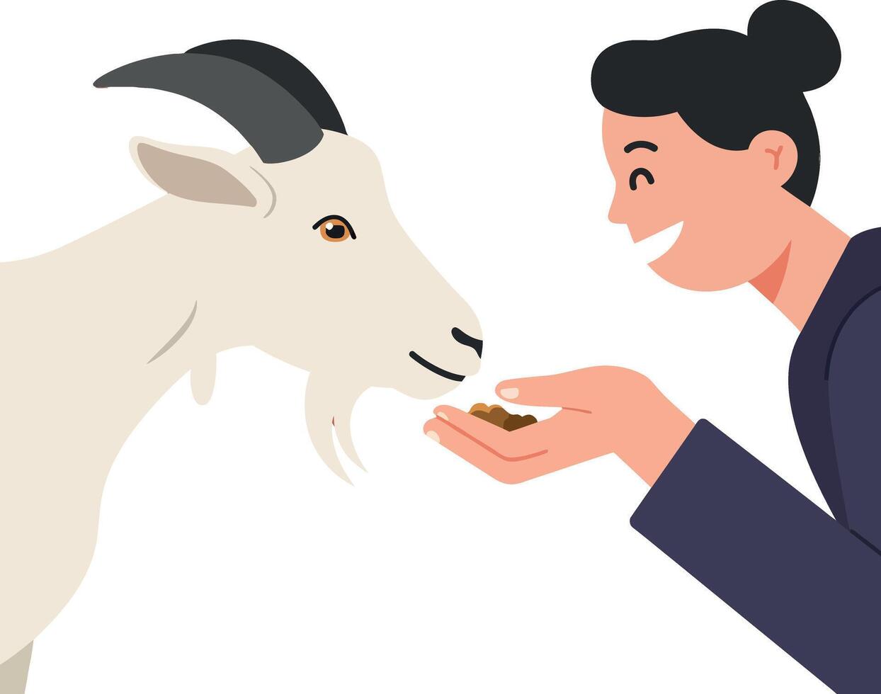 A woman smiling while feeding a friendly goat in a flat illustration vector