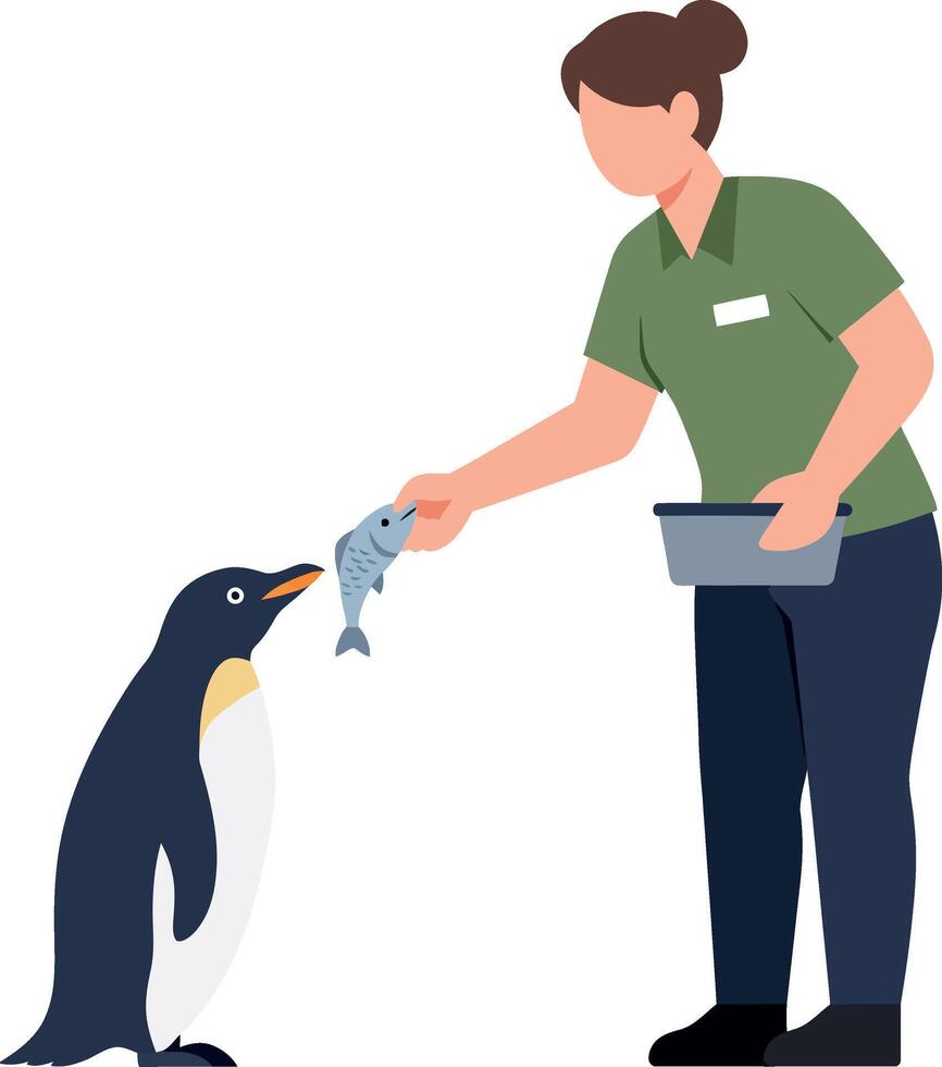 Person feeding a penguin fish in a flat, minimal style illustration vector