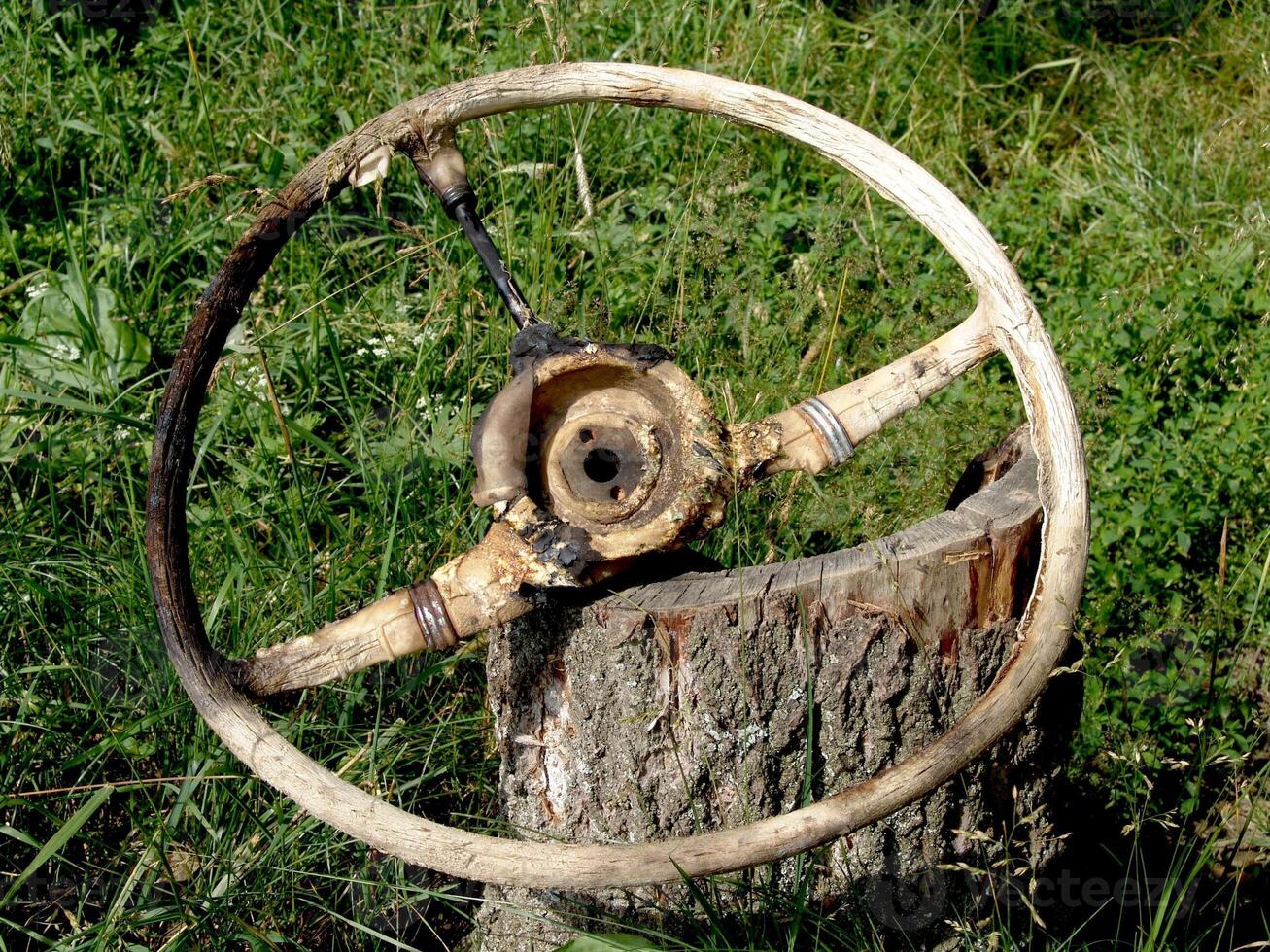 Old Weathered Car Steering Wheel on Tree Stump photo