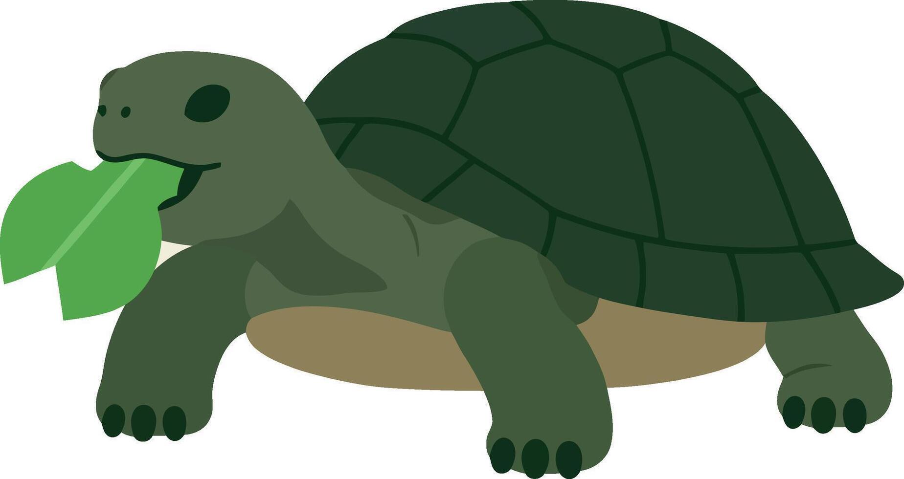 Green tortoise munching on leaves in flat art style showcasing nature and wildlife vector