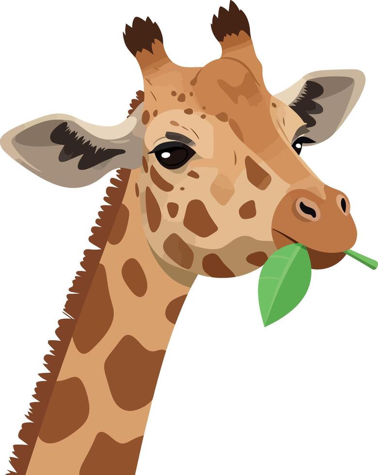 Playful giraffe with a green leaf in its mouth in flat art style vector