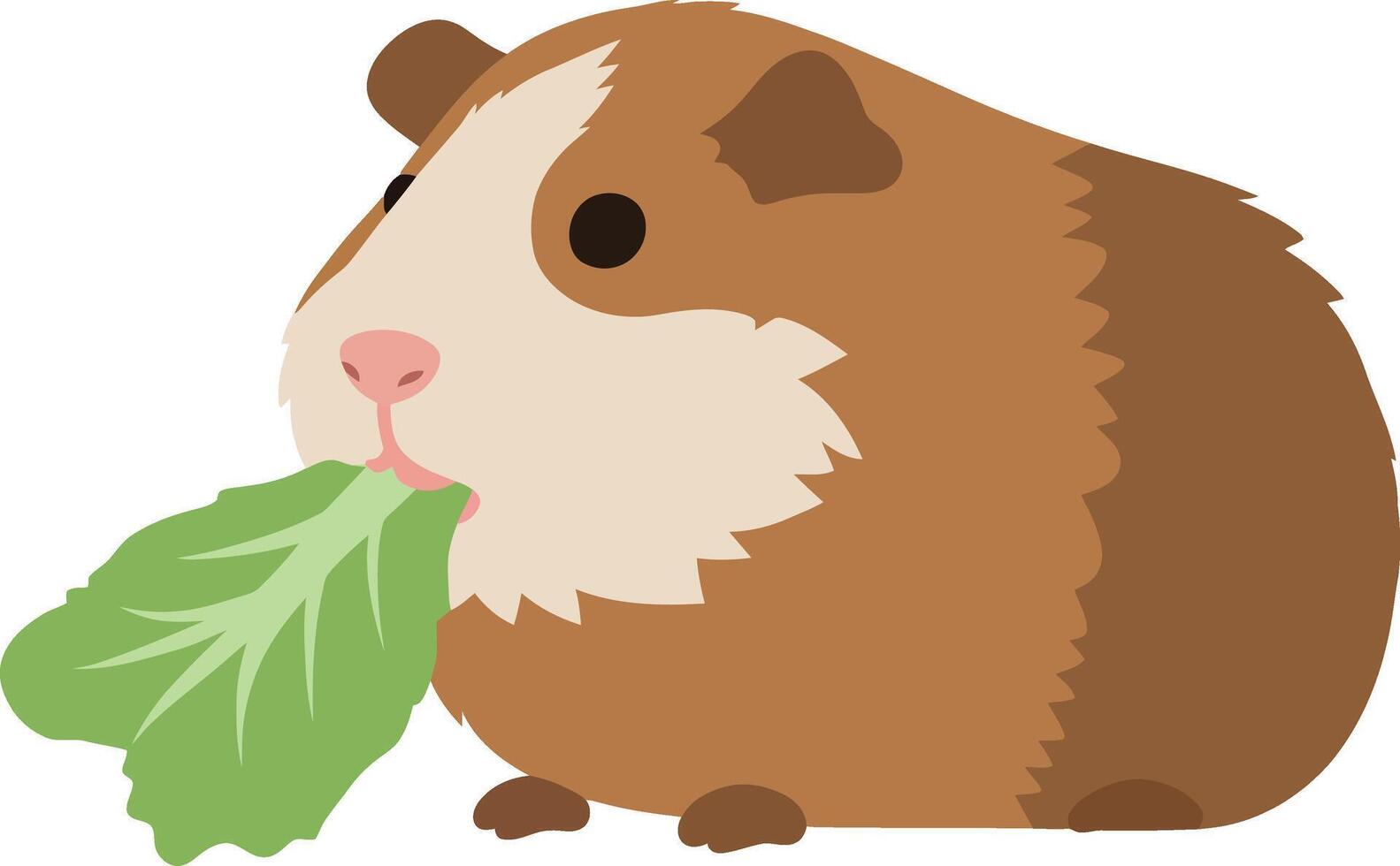 Adorable brown and white guinea pig munching on a leafy green vegetable in flat art vector