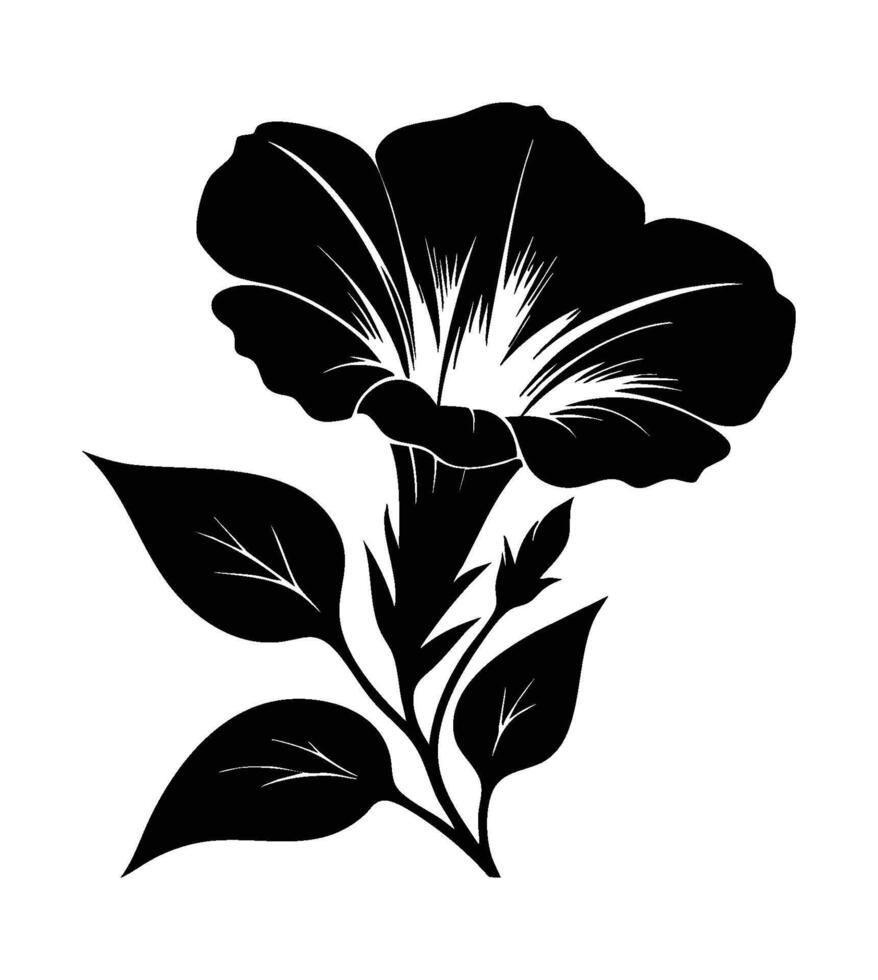 Silhouette of a morning glory flower vector