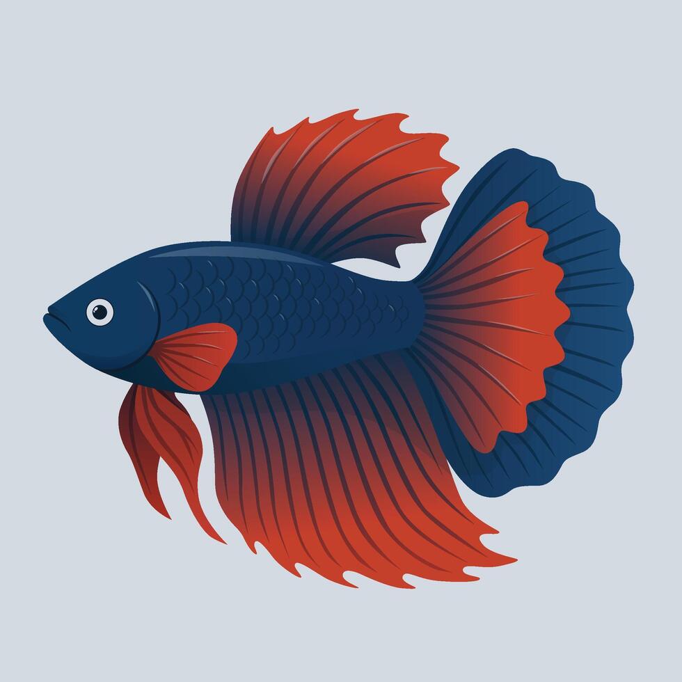Colorful Red and Blue Siamese Fighting Fish Flat Illustration vector