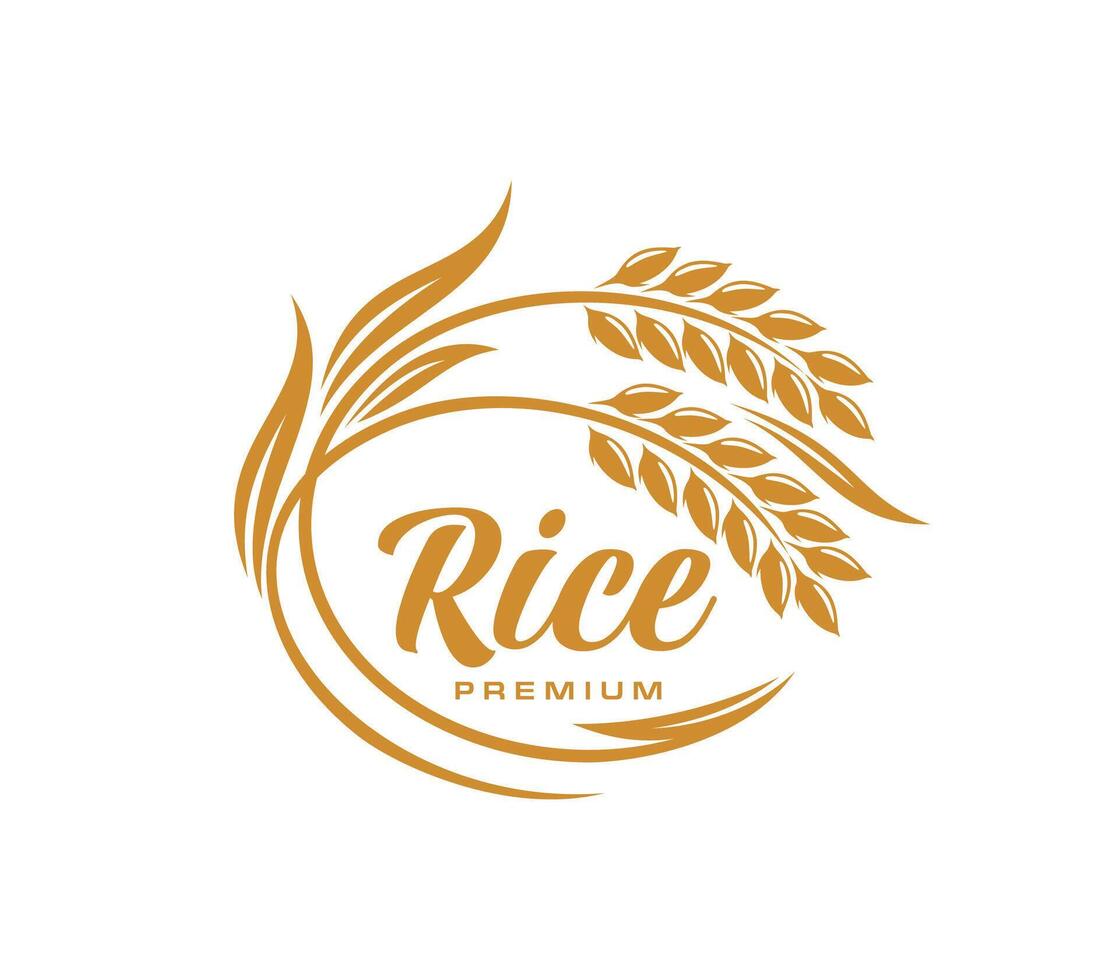 Asian rice ear icon with round cereal stalks frame vector