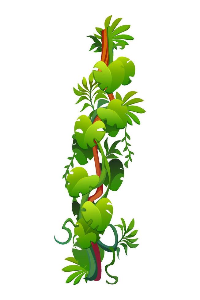 Vertical tropical jungle forest liana vine branch vector