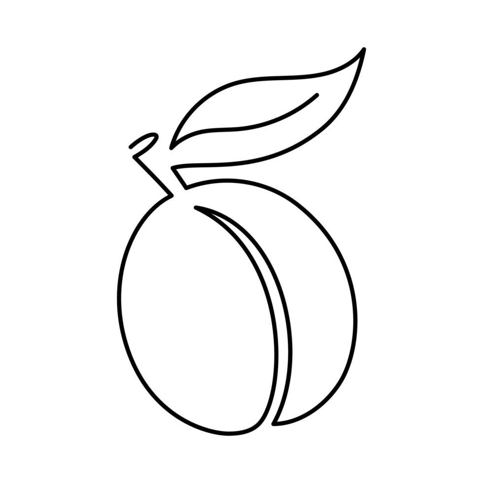 Apricot fruit illustration. Single line icon. Line art plum. continued line peach illustration. Outline fruit isolated on white background vector