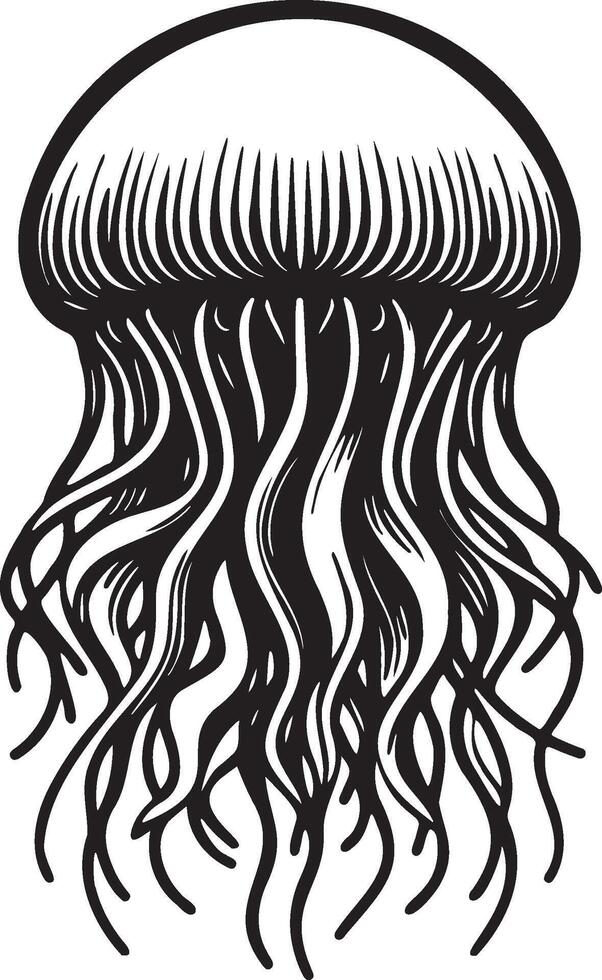 Jellyfish Sketch Illustration. vector