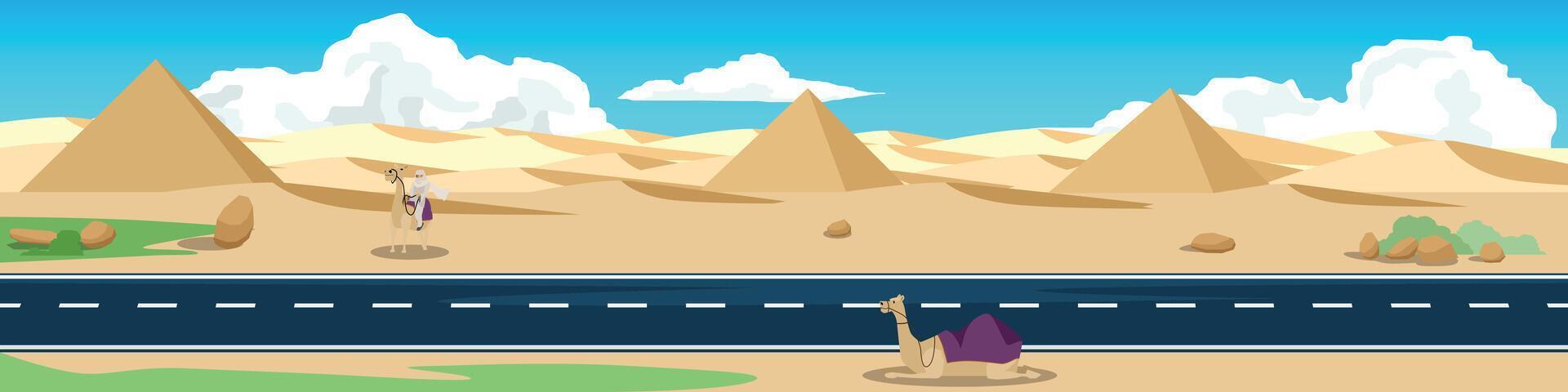 Landscape of asphalt road cutting through the desert area. Background of Pyramid on the desert floor. Was a camel sitting on the side of the road and an Arab was riding it. Under blue sky. vector