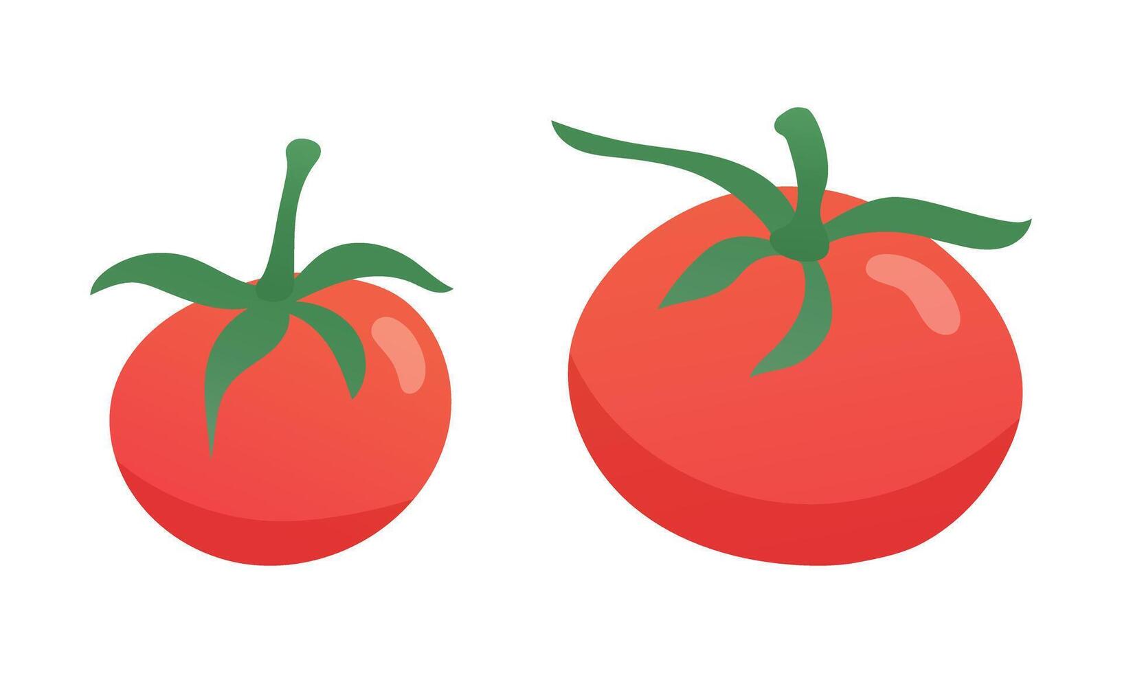 Tomatoes with leaves cartoon flat illustration. vector