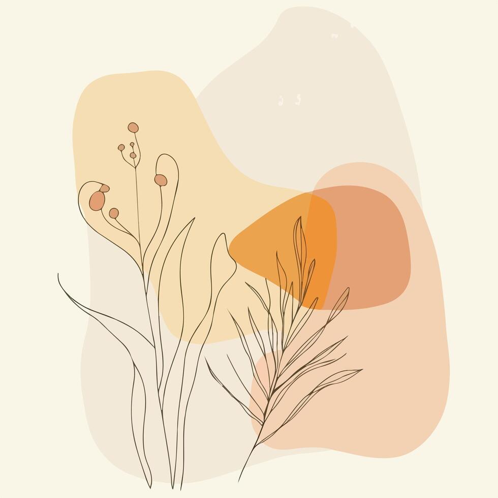 Drawing of plants and flowers on a white background vector