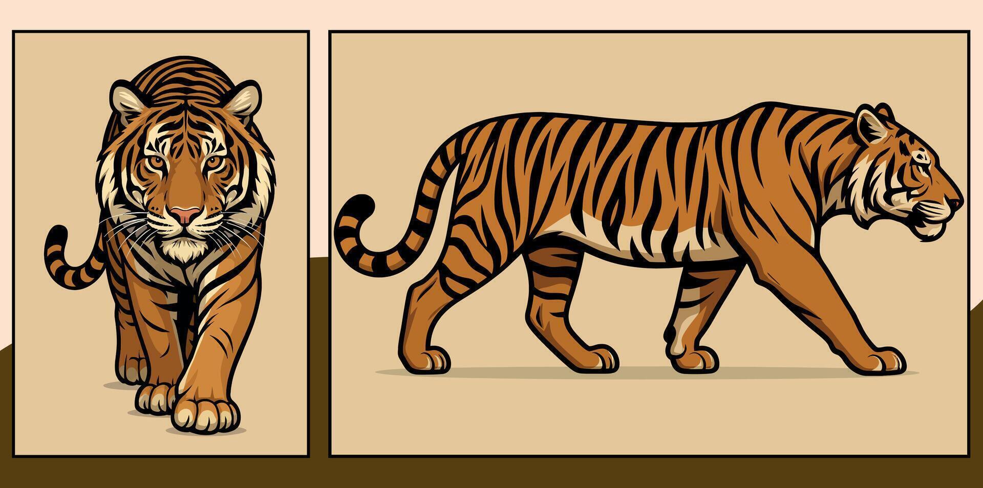 Tiger front and side view cartoon illustration vector