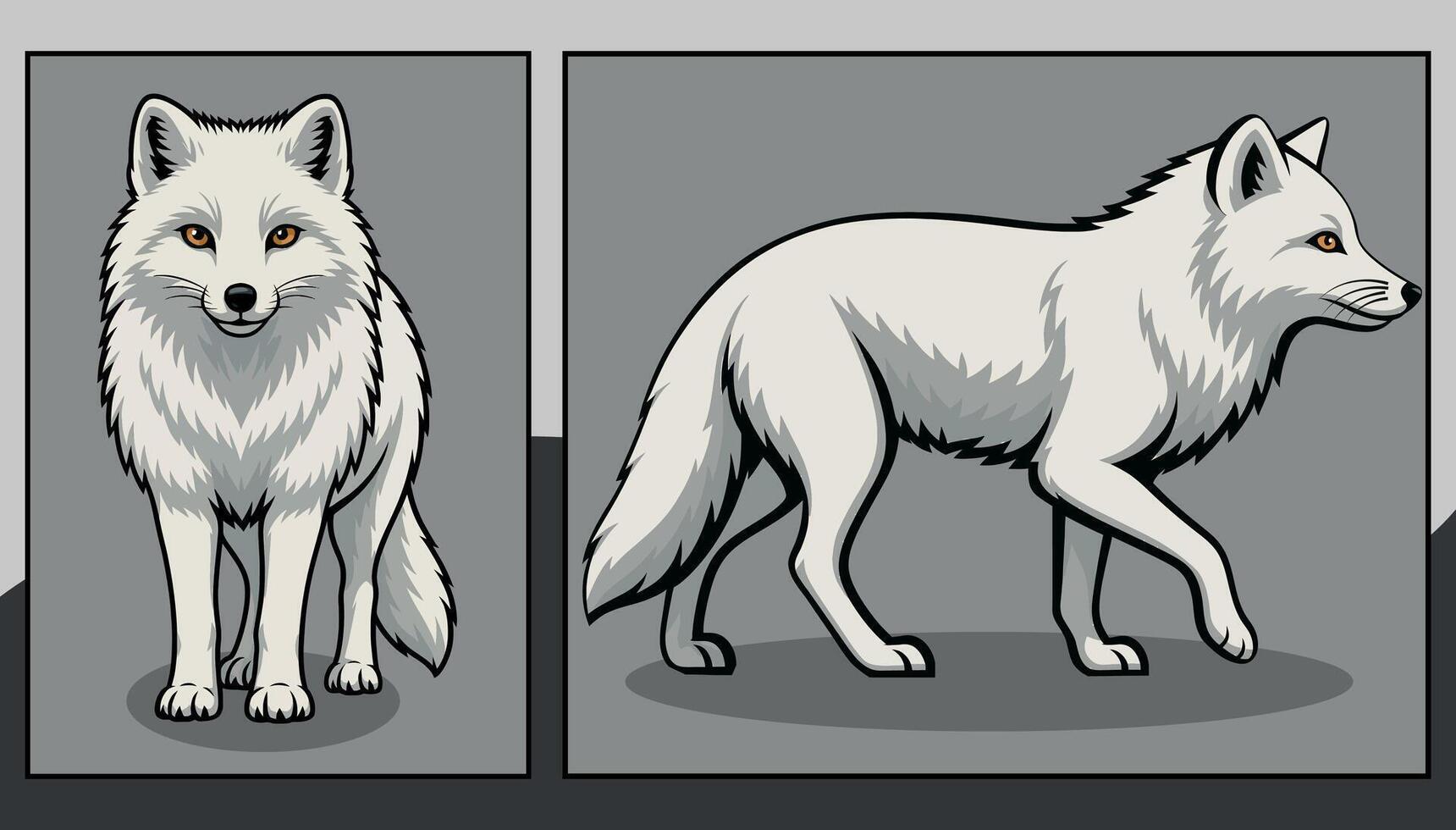 Arctic fox front and side view cartoon illustration vector