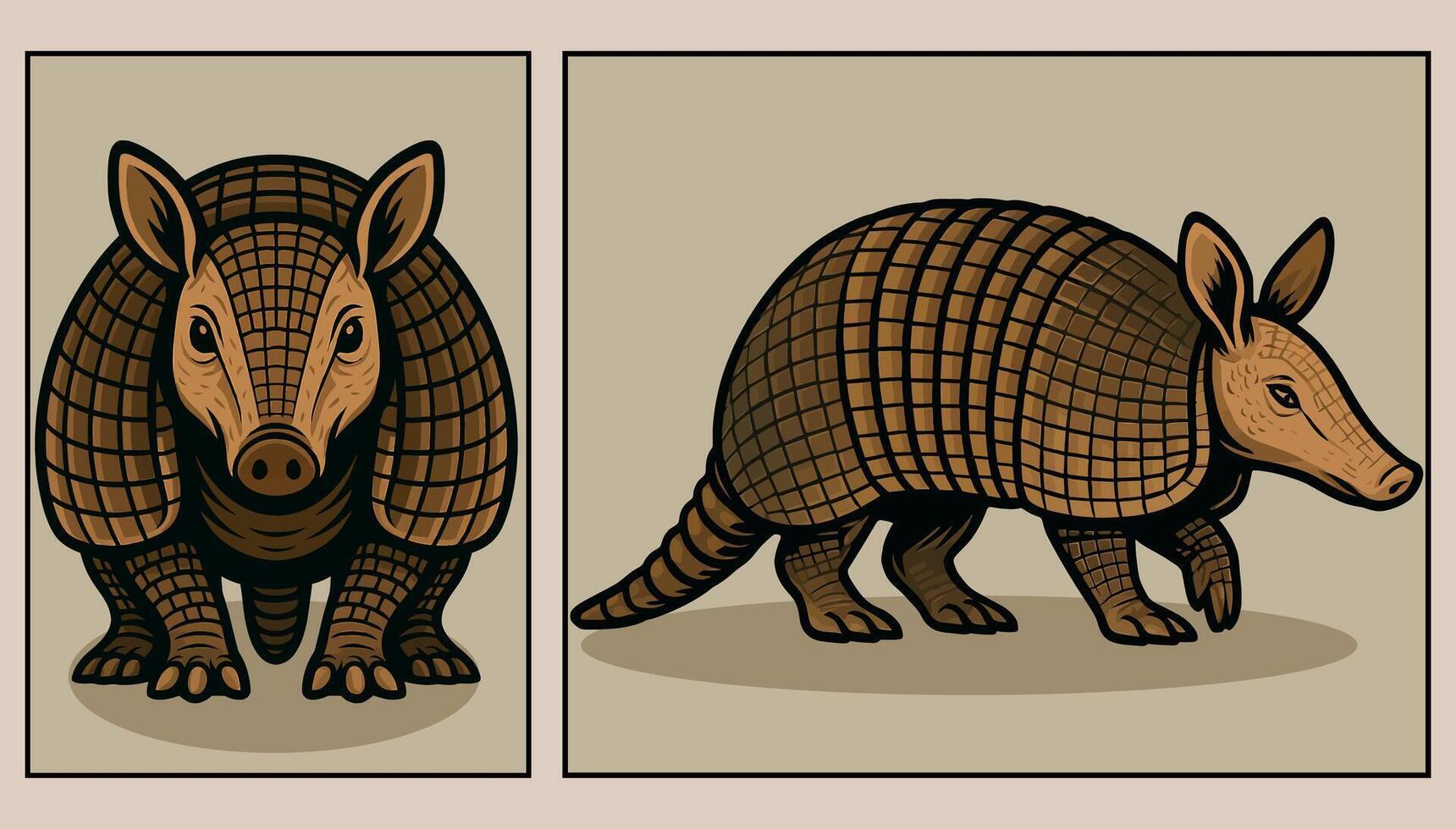 Armadillos front and side view cartoon illustration vector