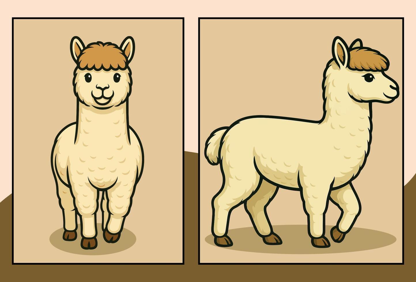 Alpaca side and front view cartoon illustration vector