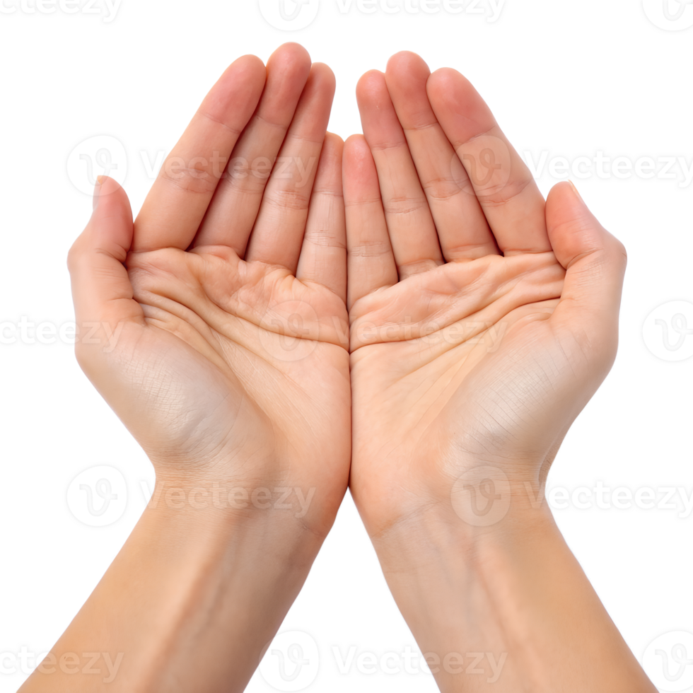 Closeup of Open hands Palms position in prayer, Muslim Praying, Seeking Support, Receive, Islam religion isolated png