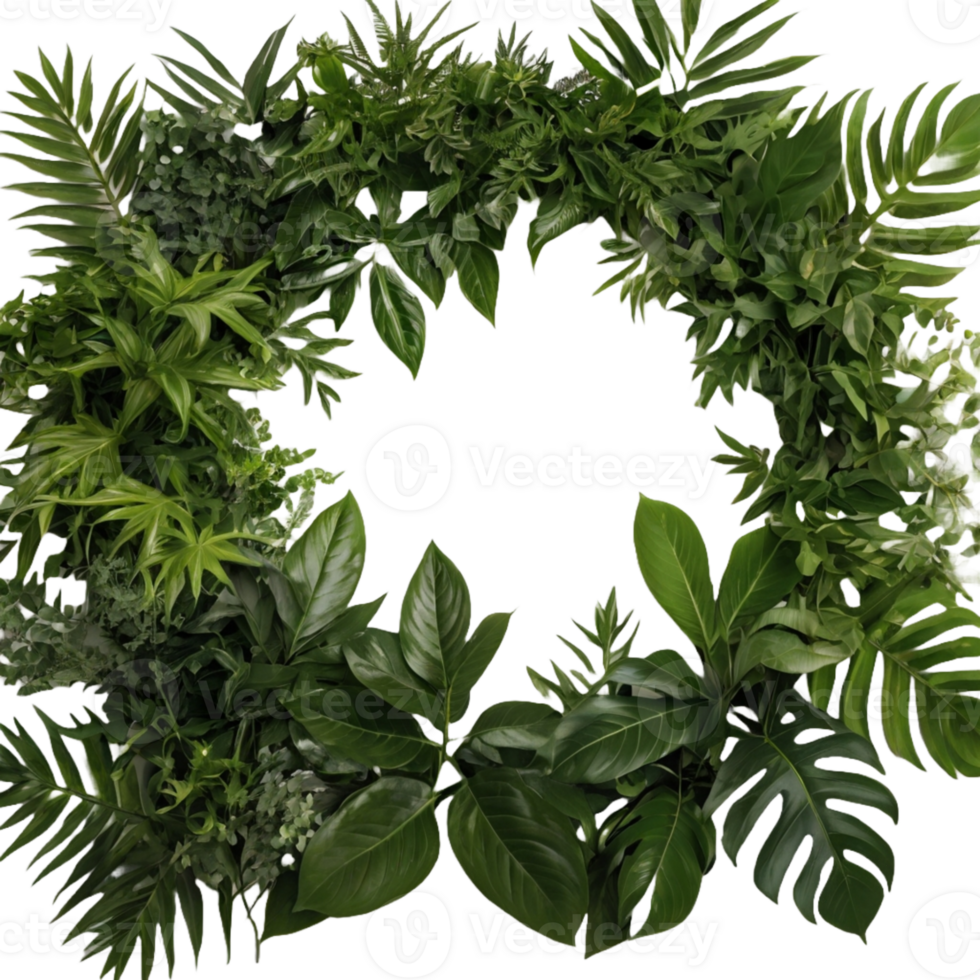Wreath of green plants png