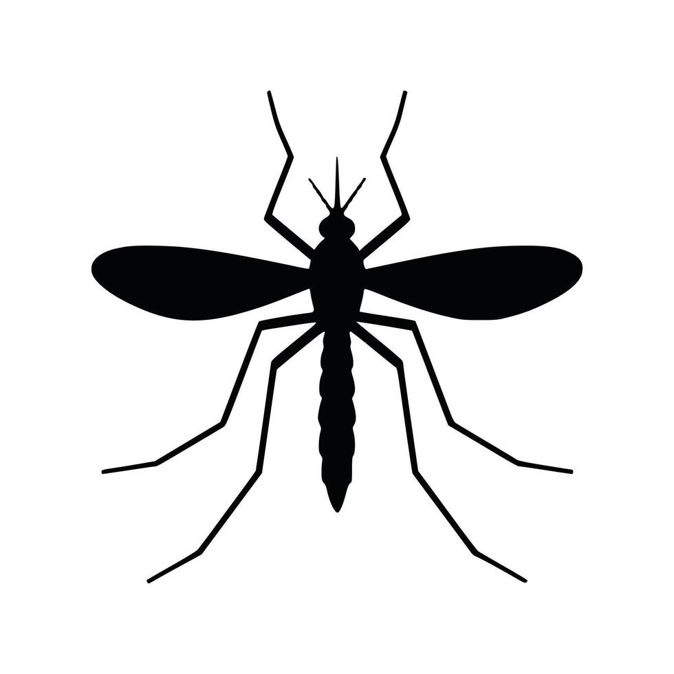 mosquito silhouette graphic vector
