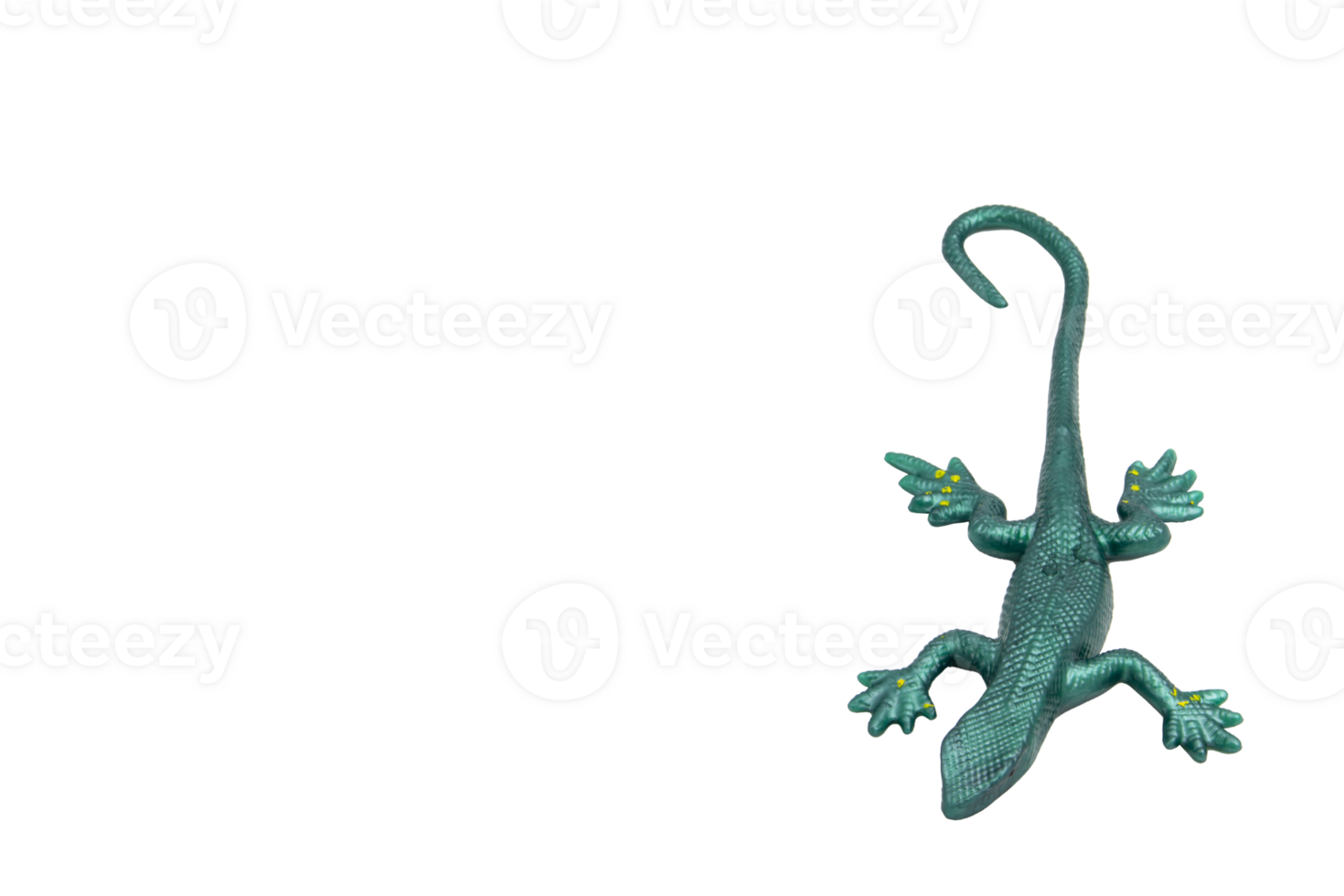 Green rubber lizard toy, top view, no background. Playful and fun, perfect for children's designs, educational materials or toy store advertising. png