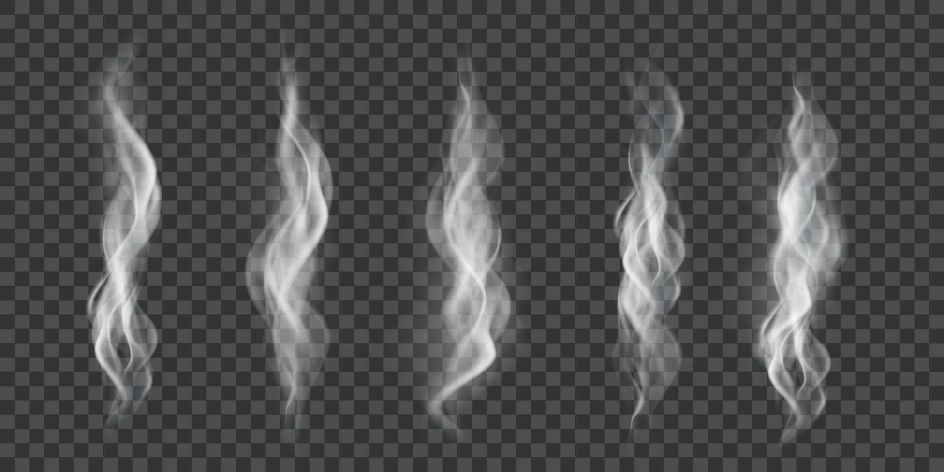 Wavy white smoke effect vector