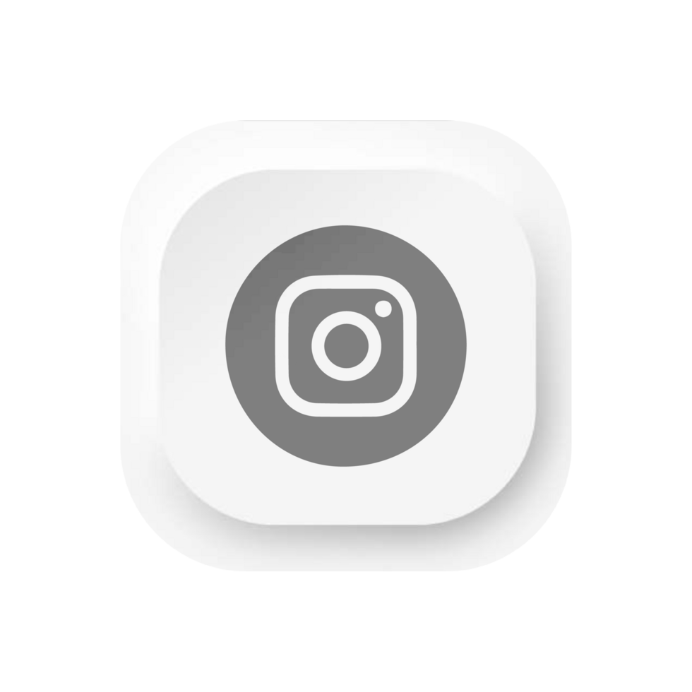 Icon of an instagram logo on a flat shape png