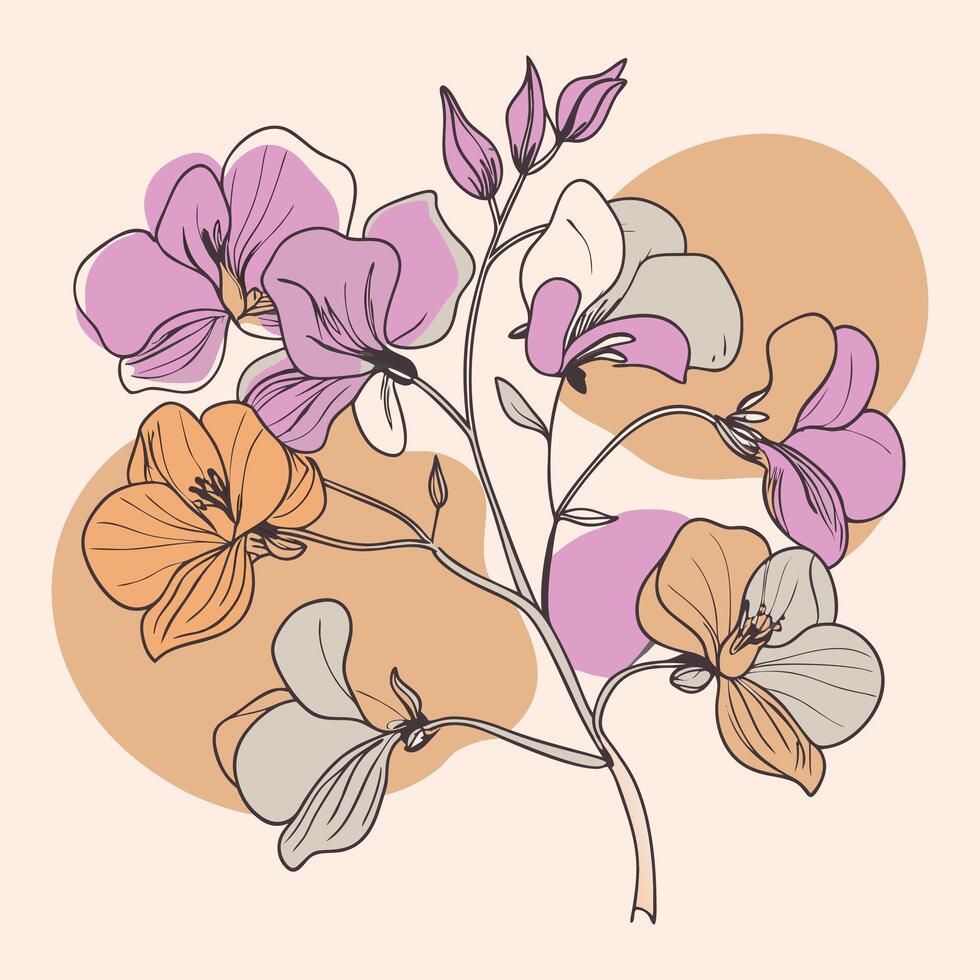 Sweet Pea Flower Arrangement, Elegant Line Art, Abstract Shapes on Creamy Background vector