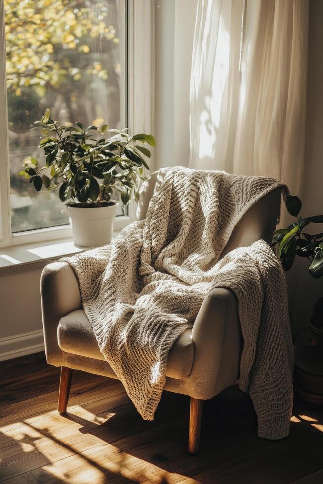 A chair with a blanket and a plant on the floor photo