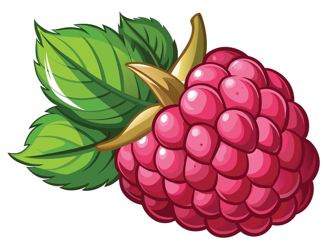 Cartoon Style Raspberry with Leaves on White Backdrop Fresh Berry Design vector