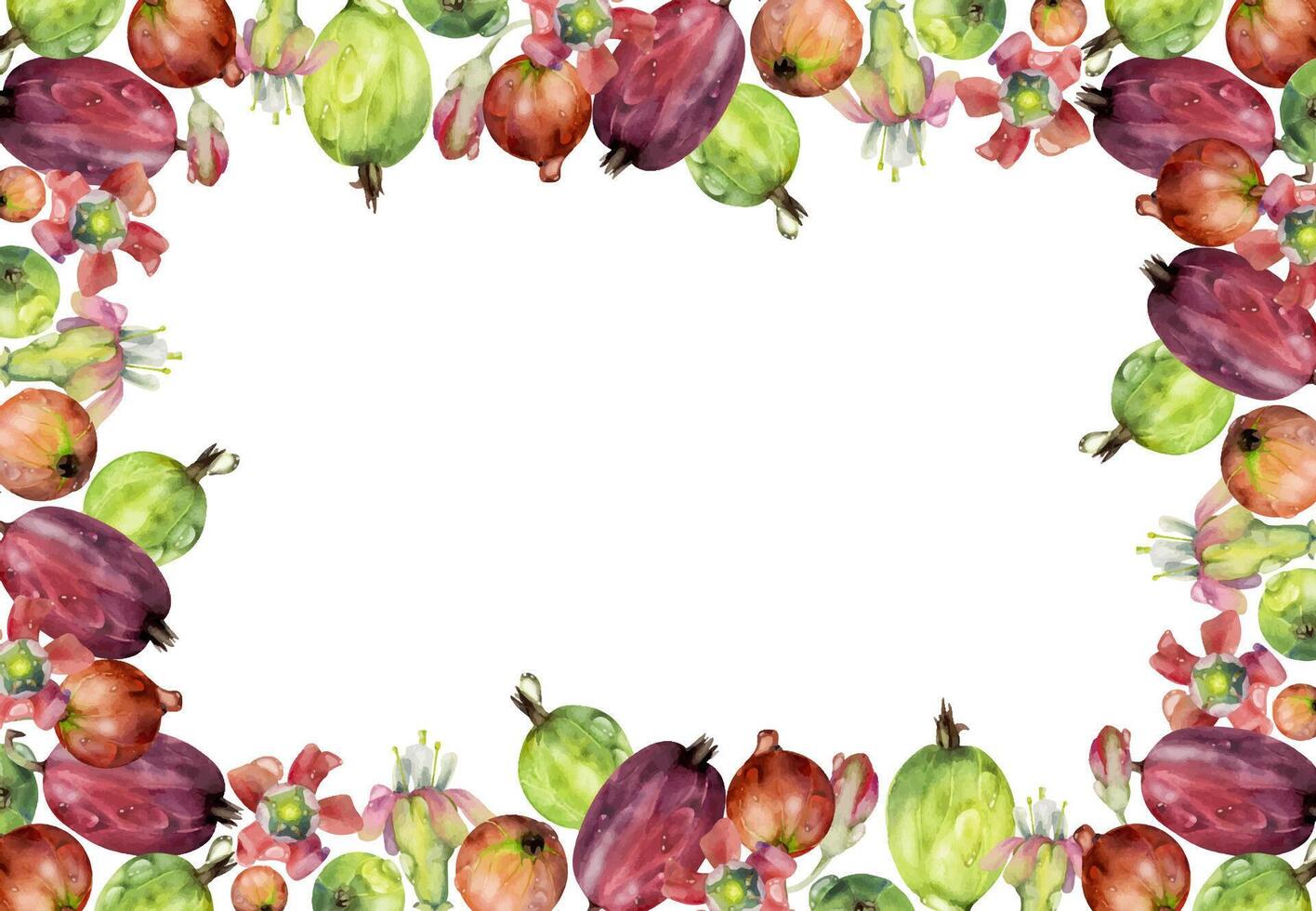 Gooseberry Currant garden berries, flowers in water dew drops hand drawn in watercolor. Isolated corner border frame illustration. Home preserves, stationery, food store decor, recipe book, cafe menu vector