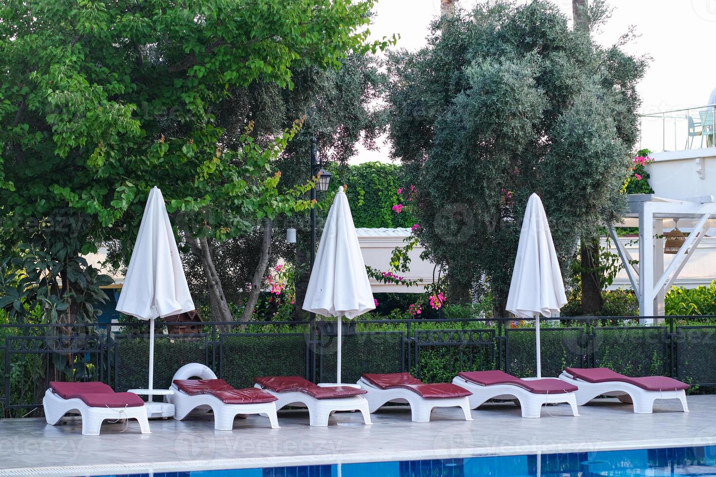 A row of white umbrellas are set up in front of a pool photo