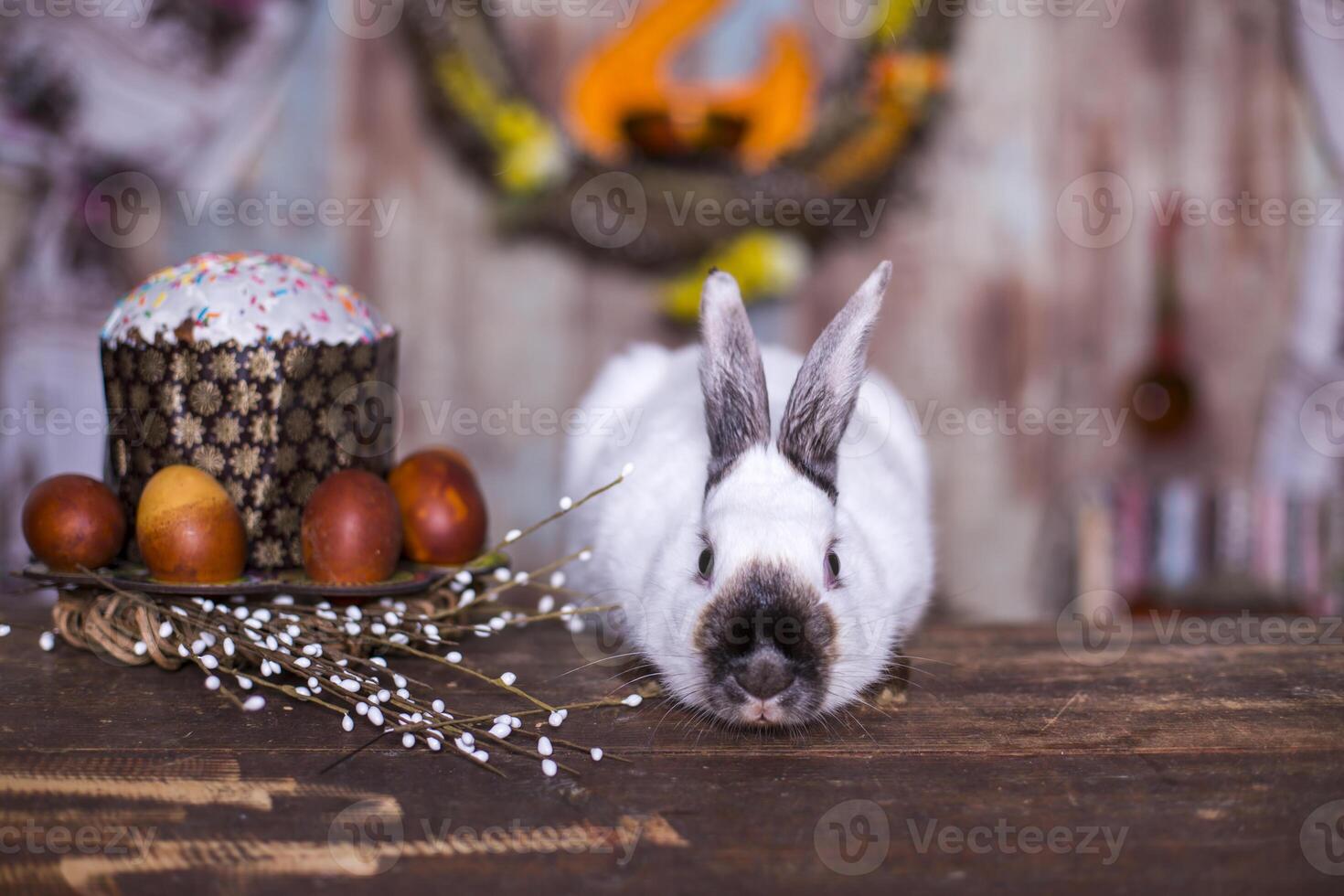 Fluffy white rabbit with Easter eggs photo
