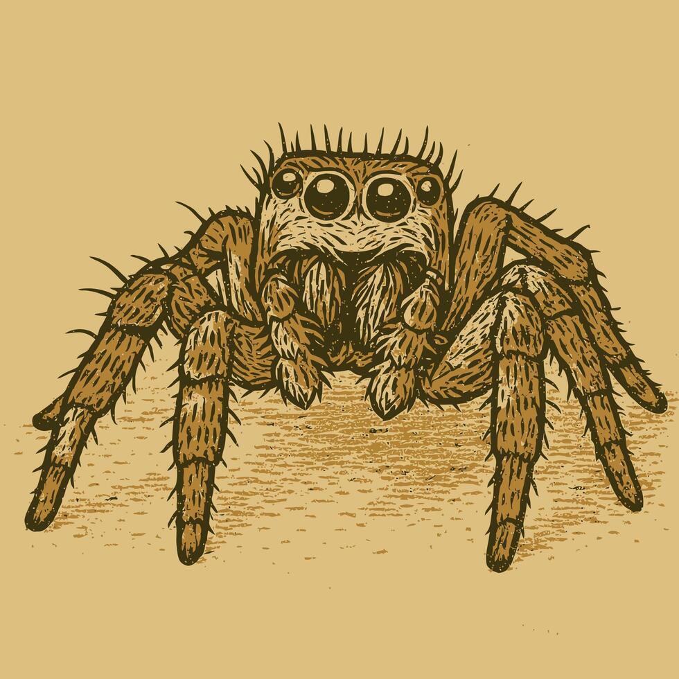 Illustration of a Detailed Brown Spider with Eight Legs and Multiple Eyes vector