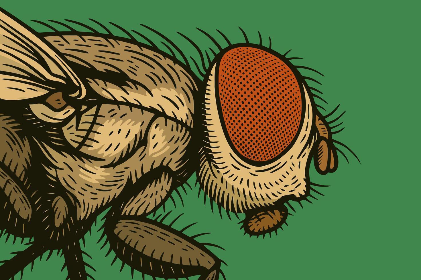 Detailed Illustration of a Fly with Intricate Wing and Eye Details vector