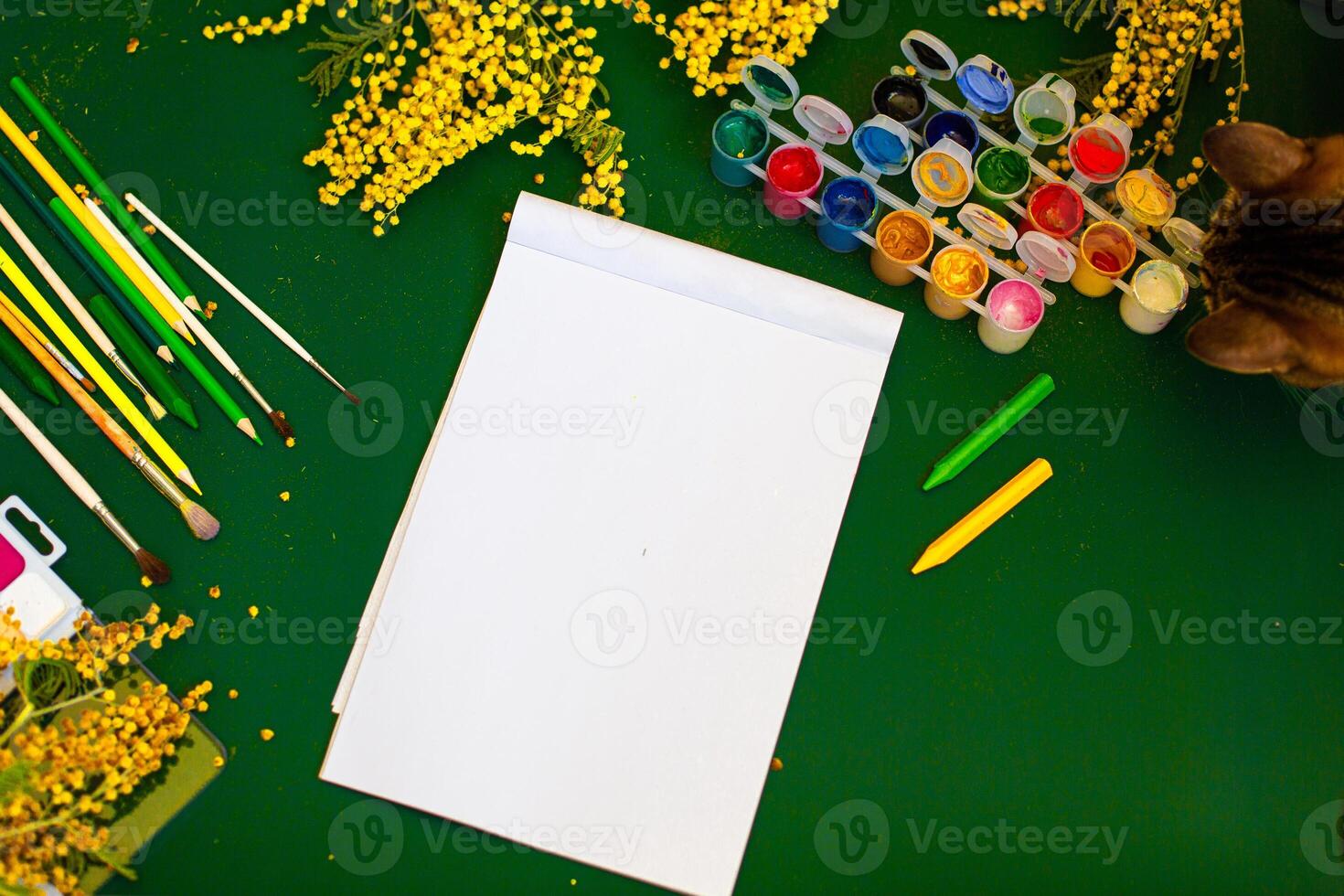 A Tulips with watercolor blank paper and colored pencils photo